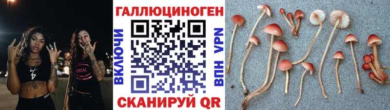 Псилоцибиновые грибы прущие грибы купить закладку Бирюсинск